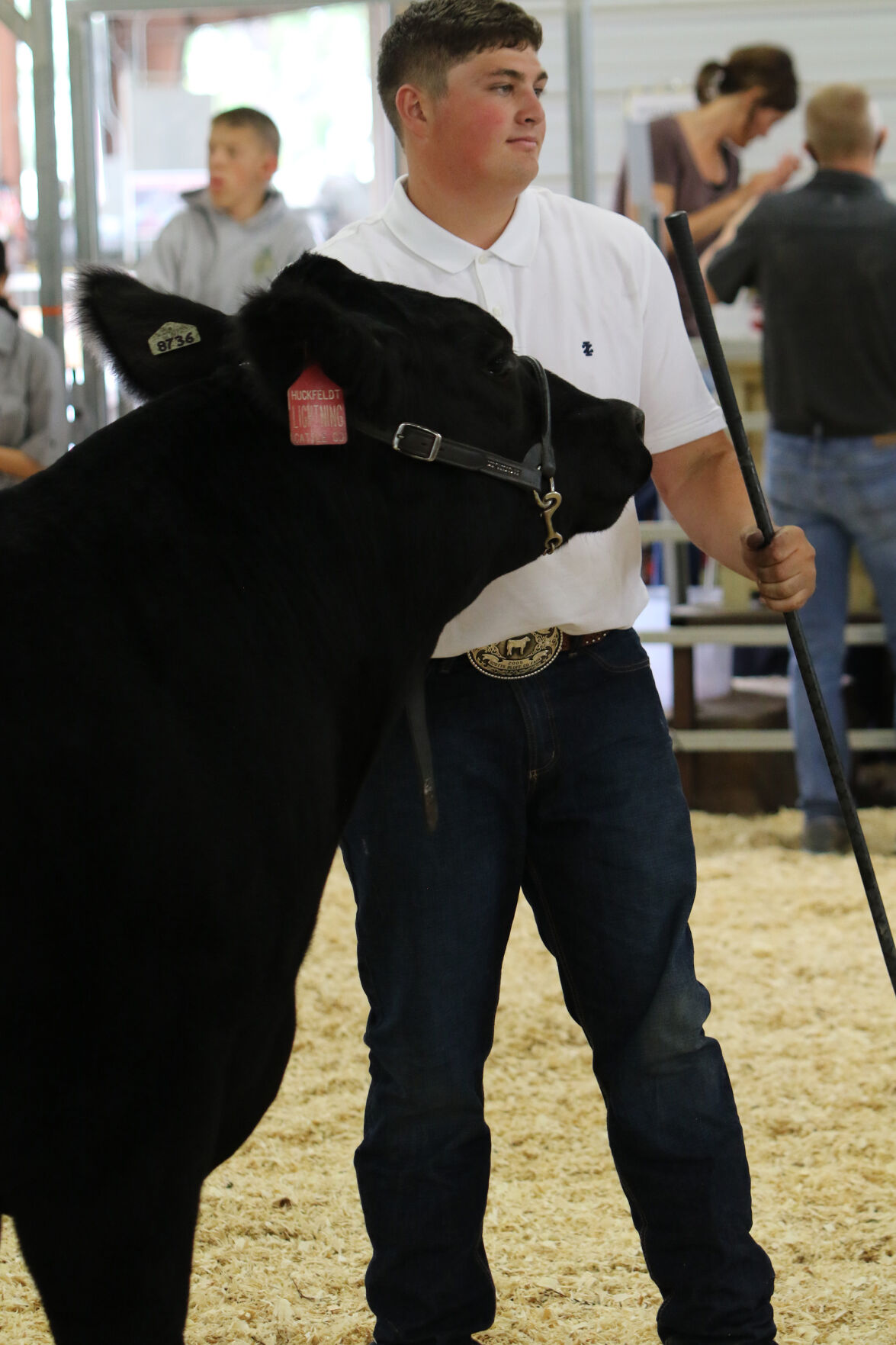 PHOTOS: Market Beef Show 2020